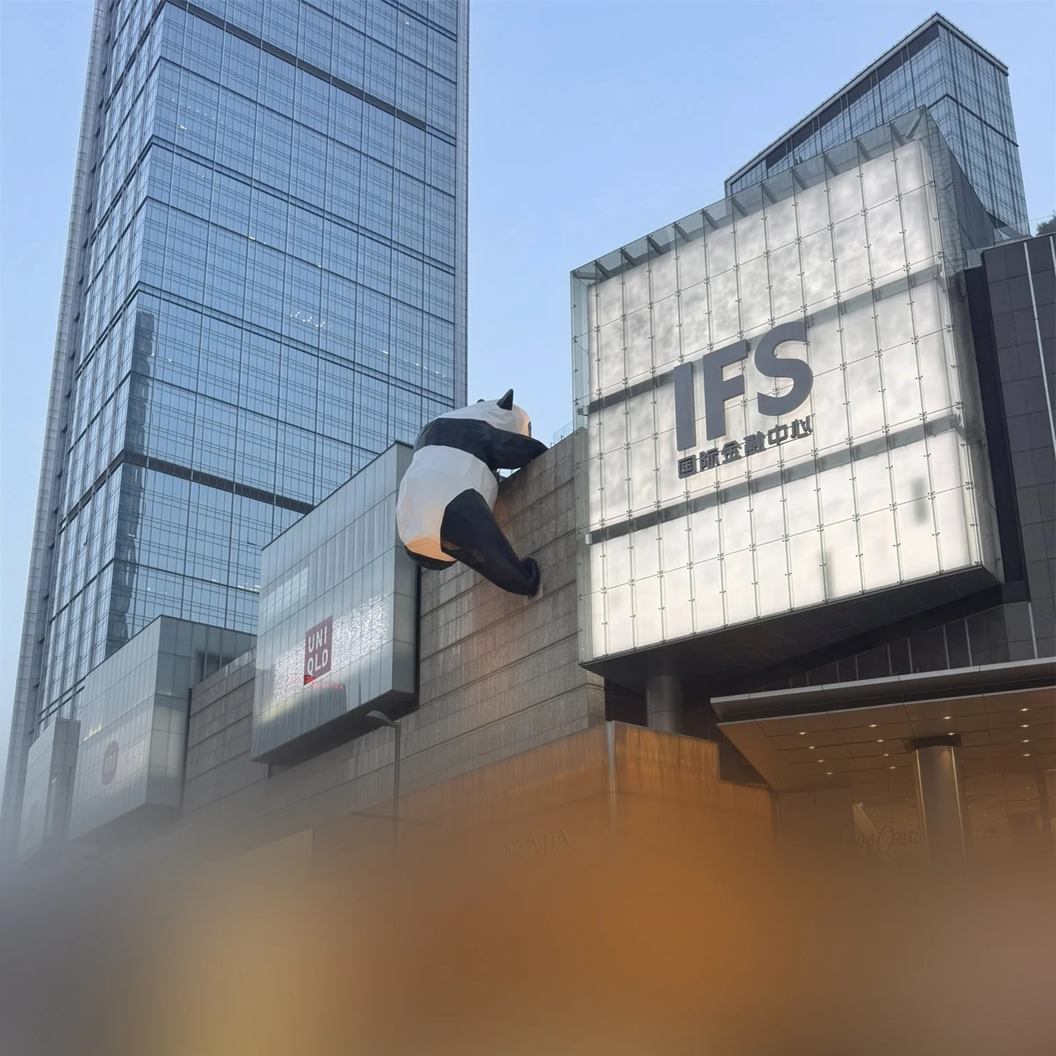 New Year, New Goals !